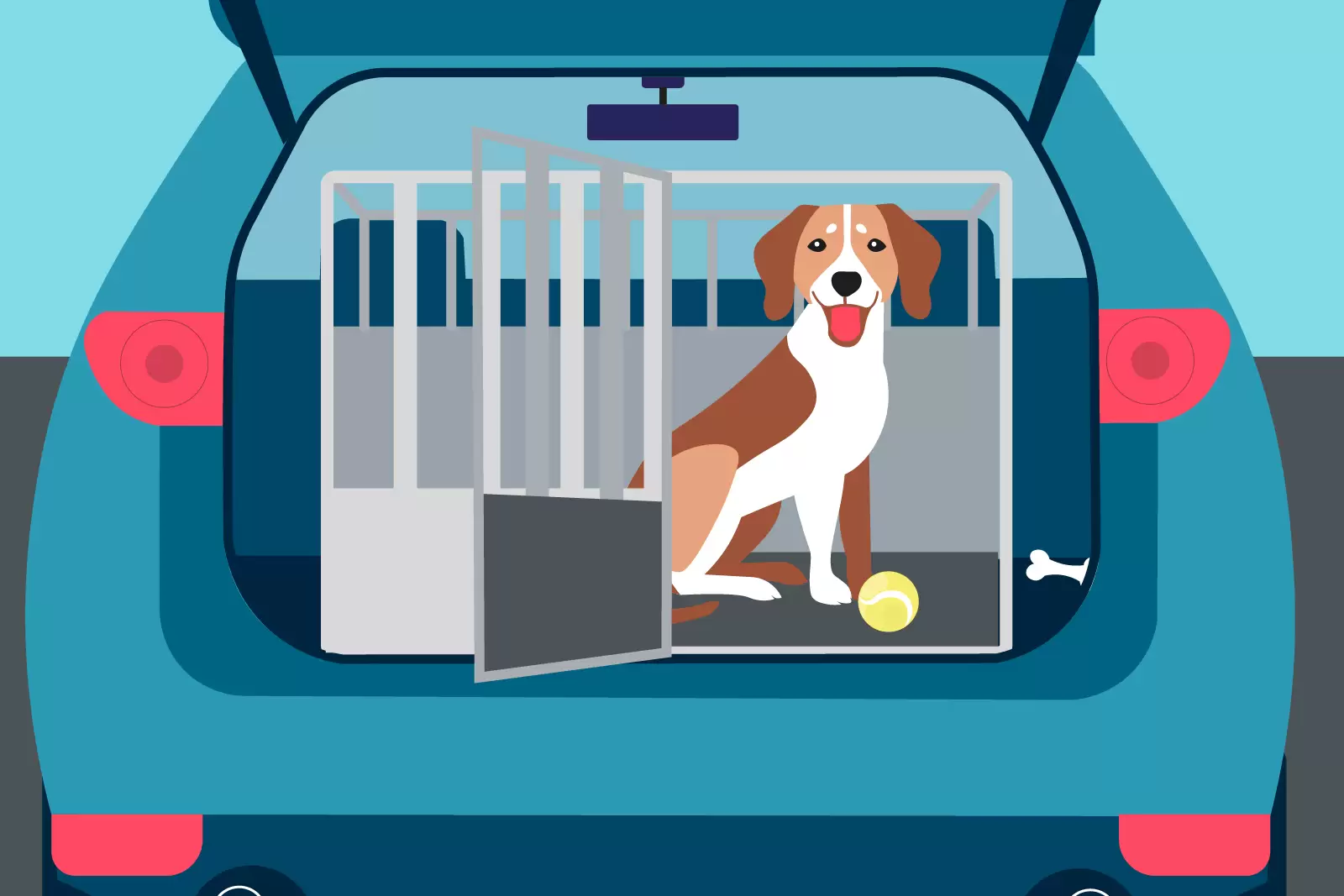 Hund im Auto transportieren – So geht's